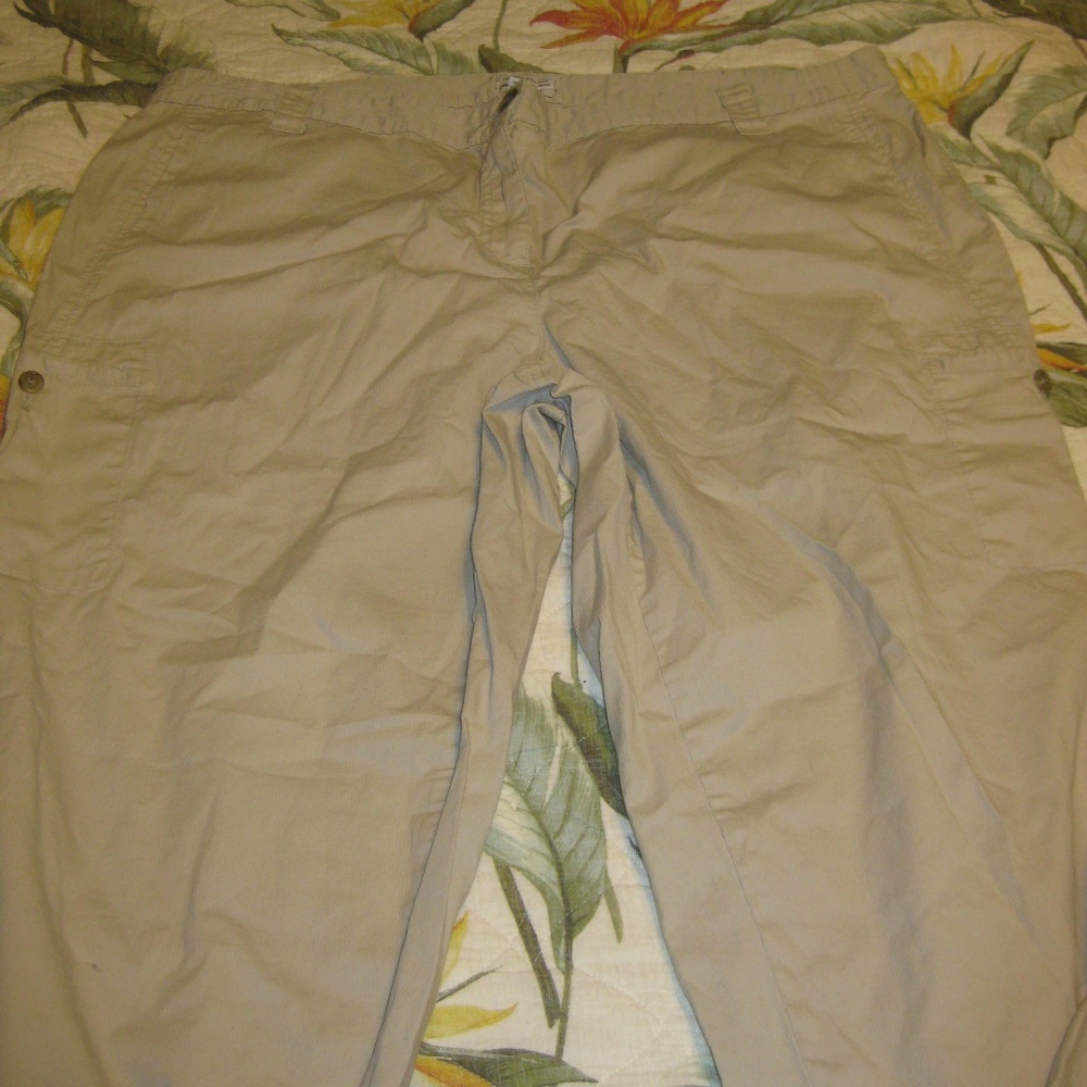 Charter Club Classic Fit Pants